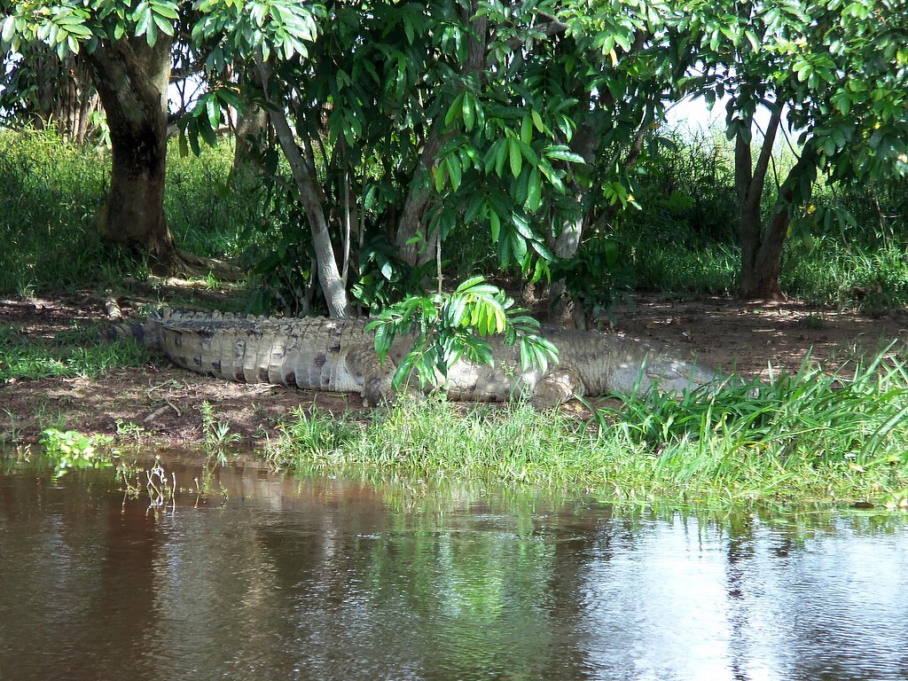 safari en los Llanos de Apure