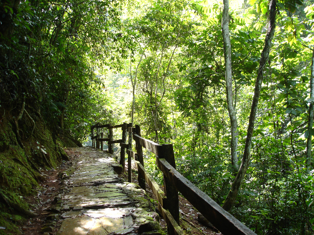 Senderismo en Venezuela: Parque Nacional Guatopo, vecino de Ocumare del Tuy
