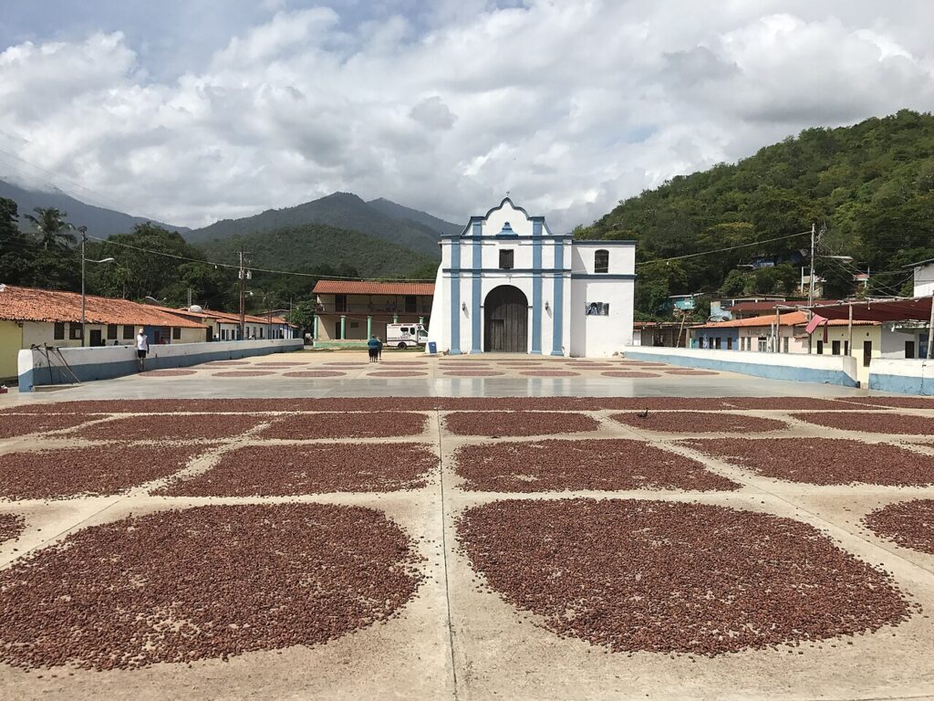 Plaza de Chuao en Aragua, Venezuela, con granos de cacao secándose al sol frente a la iglesia colonial.